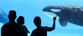 vancouver aquarium tips shows