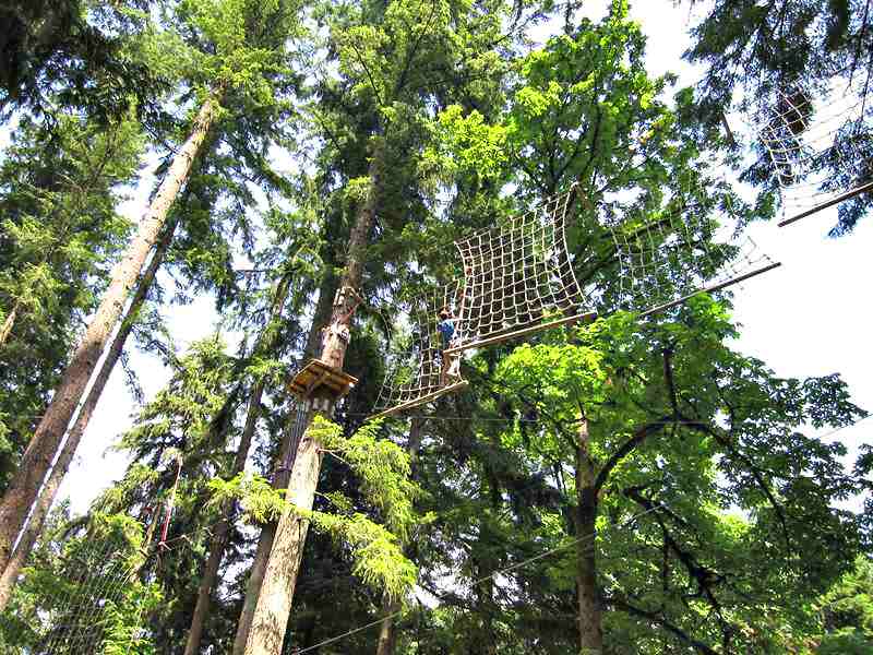 Wildplay Maple Ridge Tree top Net Climb