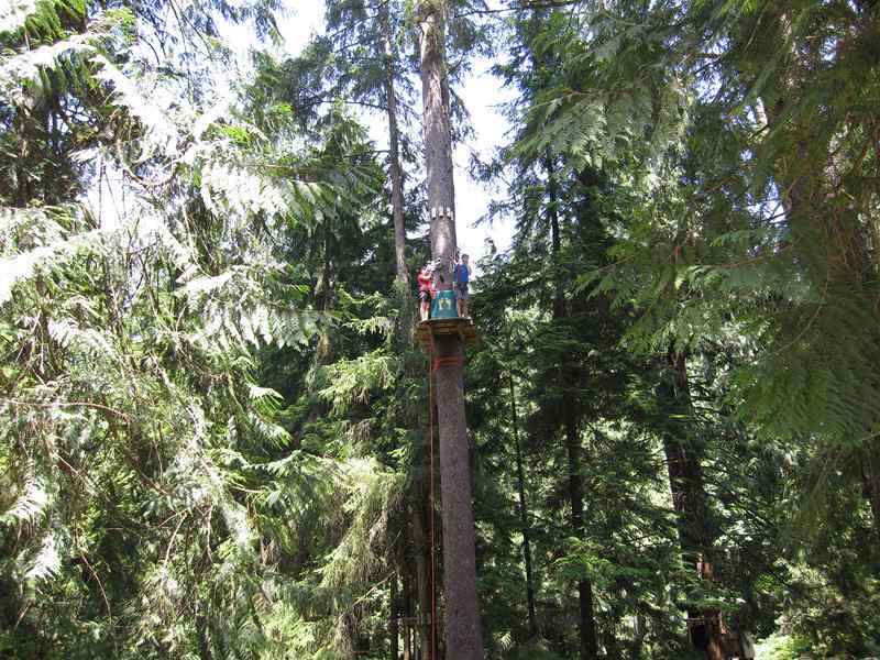 Wildplay Maple Ridge Up in the Trees
