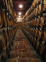 wine barrels at a vancouver winery