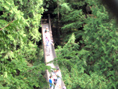 Capilano Suspension Bridge