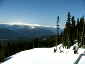 Grouse Mountain