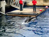 Vancouver Aquarium