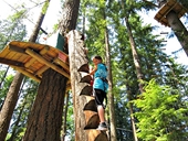 wildplay maple ridge