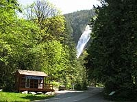 Shannon Falls 