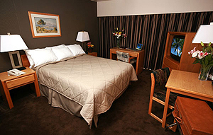 Guest room at the Comfort Inn.