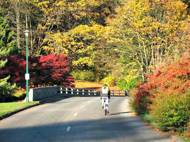 Cycling in the Fall at Stanley Park