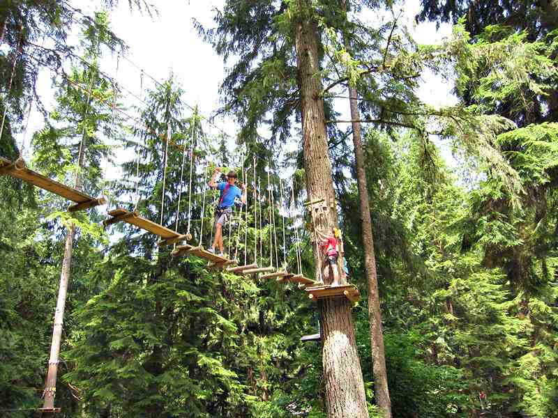 Wildplay Maple Ridge Swinging Tree Bridge