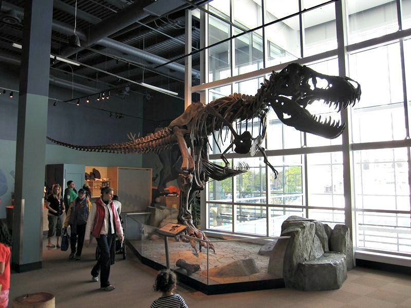 T-REX at Science World