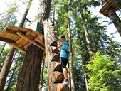 wildplay maple ridge