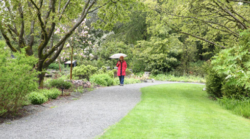 Outdoors in Vancouver When it Rains